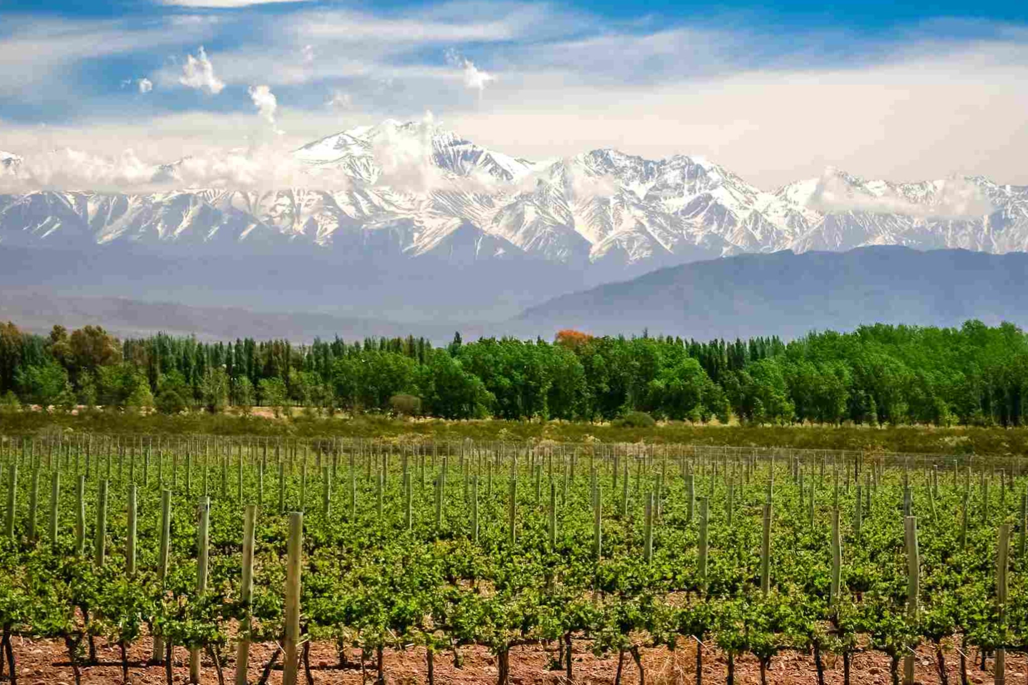 Mendoza