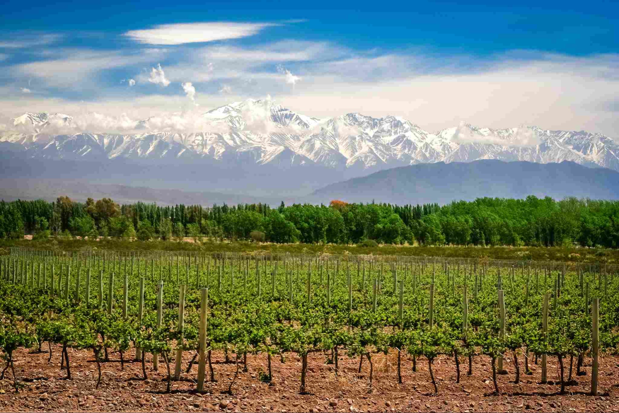 Mendoza - 8 días - Baja temporada 2025
