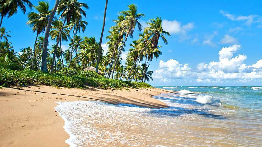 Praia do Forte - Salida 19 de Setiembre
