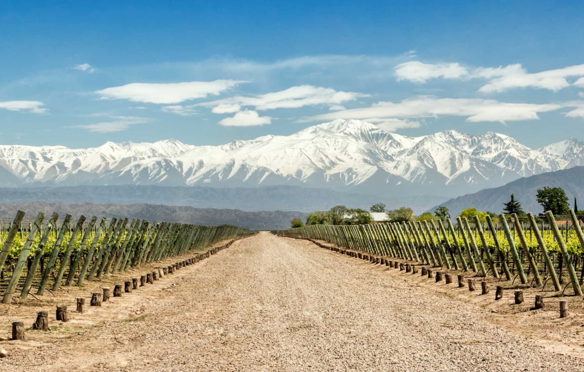 Mendoza - 8 días - Baja temporada 2025